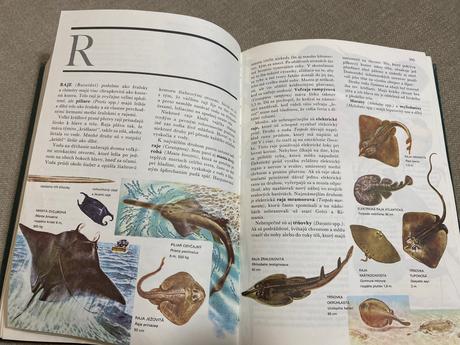 Retro stará krásna kniha svet živočíšnej ríše 1968,