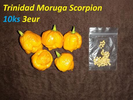Semená čili/chilli papričiek, 