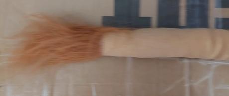 Lev - karnevalový doplnok (chvost),