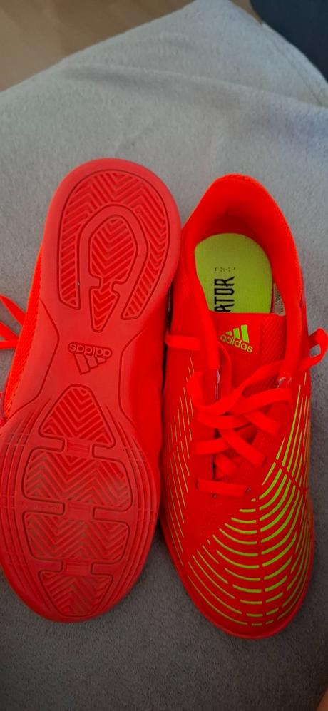 Predátor adidas, adidas,36