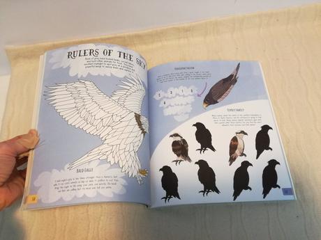 Amazing nature activity book nsp21, 