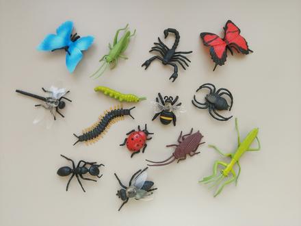 Safari zvieratá - hmyz, 