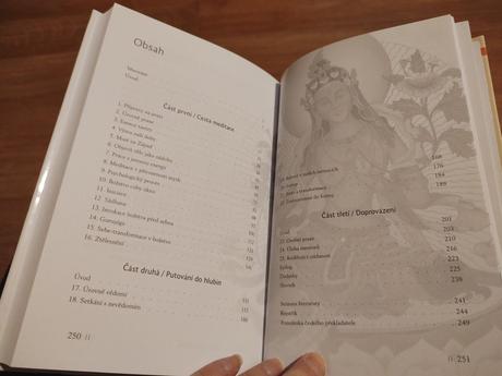 Zakusit esenci tantry - kniha, 