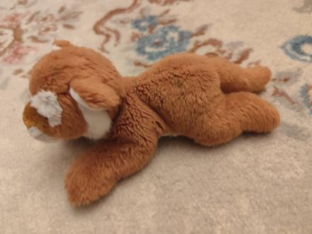 Jemnučký tiger rappa,