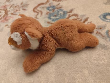 Jemnučký tiger rappa,