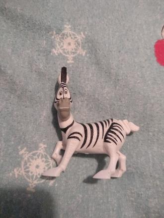 Zebra z madagaskaru, 