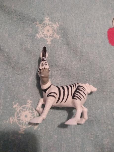 Zebra z madagaskaru,