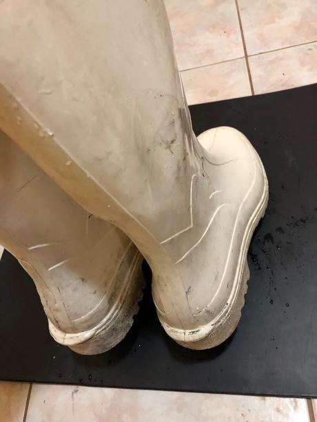 Pánske pracovné gumáky, 44