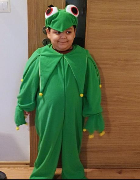Kostým žabka, 