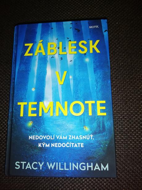 Záblesk v temnote,