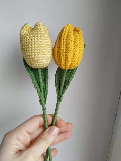 Háčkovany tulipán,