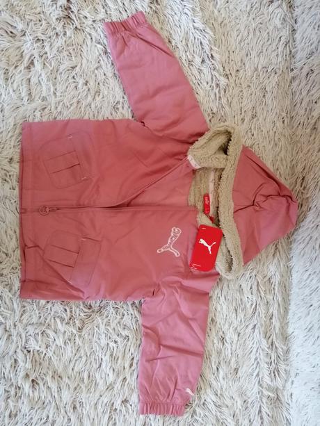 Puma bundička, puma,80