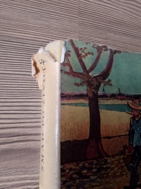 Irving stone - smäd po živote, 