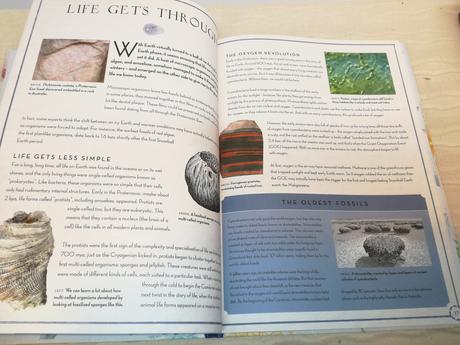 Martin ince drift nsp21, 