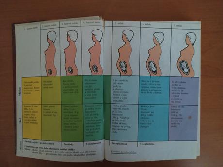 Starostlivosť o dieťa - josef švejcar (1985), 