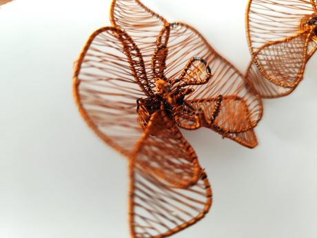 Náušnice orchidea, 