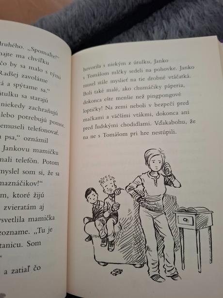 Kniha hniezdo pre sovičky,