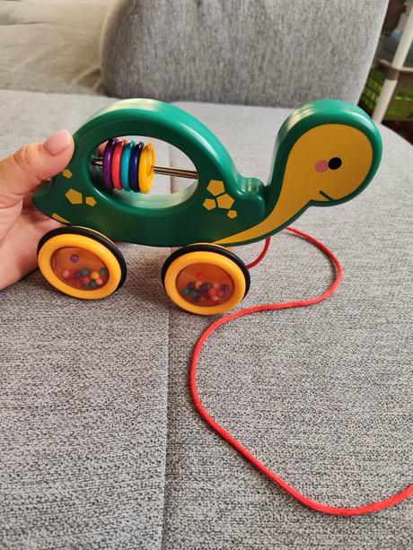 Tahacia korytnačka,