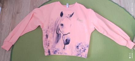 Mikina 158/164, dopodopo,158