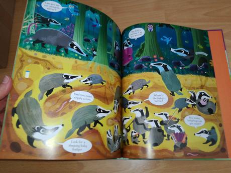 Look and find in the forest nmay21, 