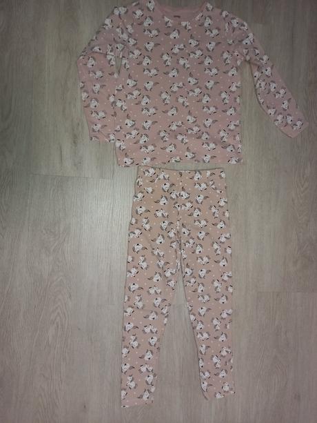 Koníková súprava, 134