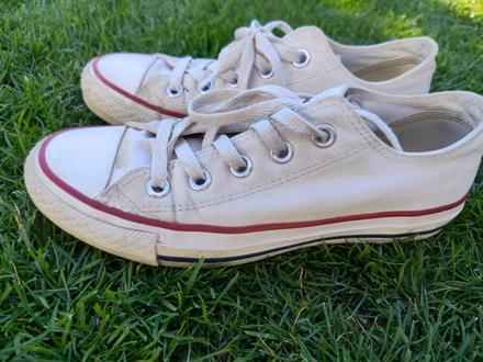 Converse low, converse,36