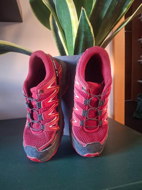 Salomon c.35, salomon,35