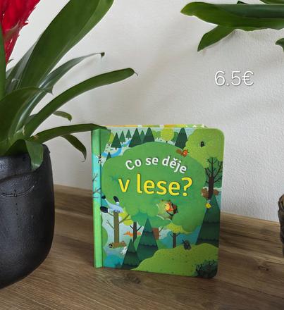Co se deje v lese,