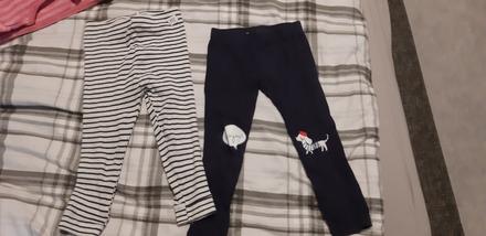 Leginy namornicke, 92