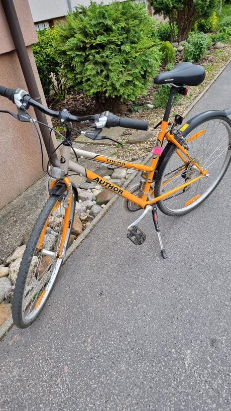 Dámsky bicykel, author,26