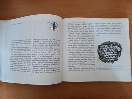 Marta šurinová - kde bývajú zvieratá (1988), 