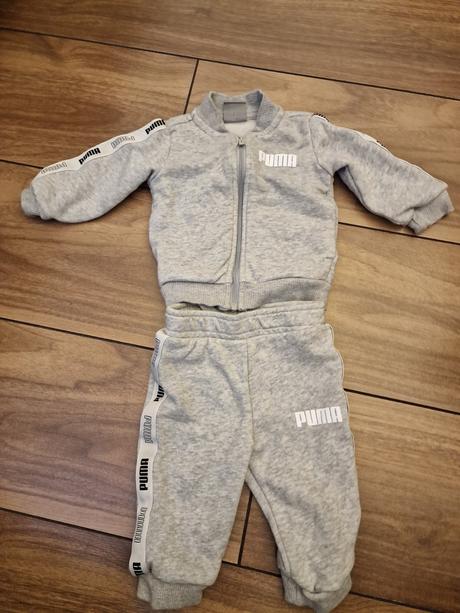 Puma suprava, puma,62