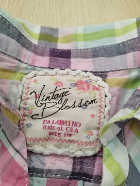 Košeľa, palomino,116