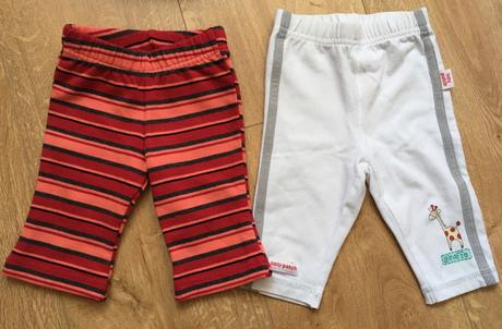 Leginy, pumpkin patch,56