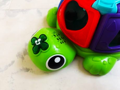 Spievajúca korytnačka, 