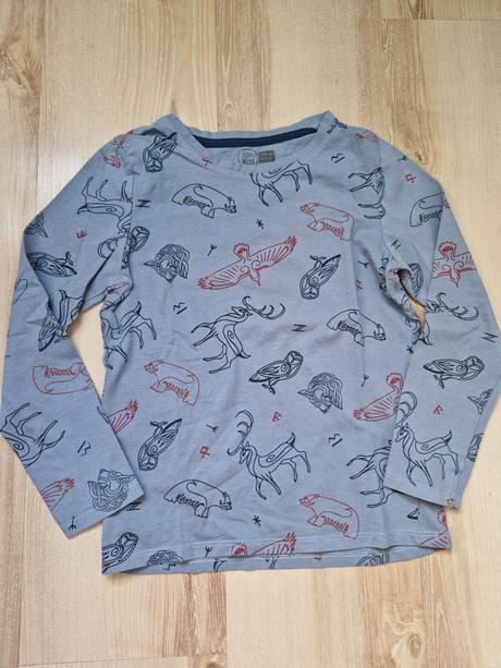 Tričká- pokémon, rex, dinovia... 134, pepco,134