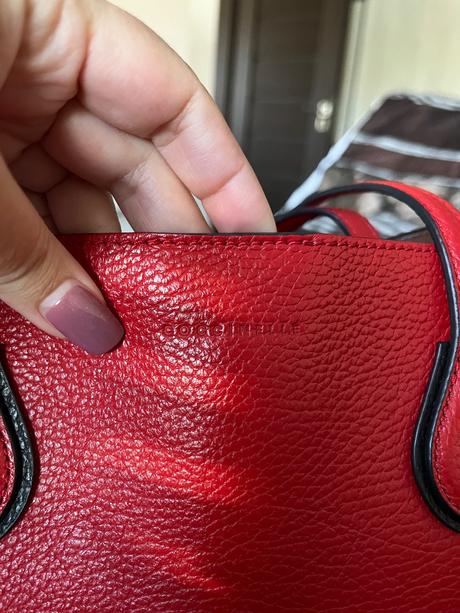 Coccinelle, coccinelle