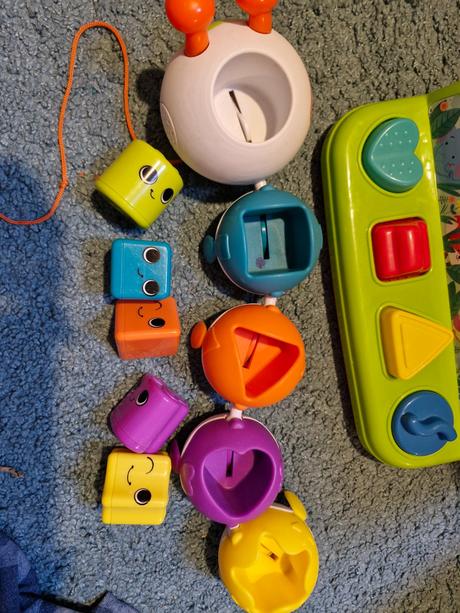 Húsenica vkladačka, 