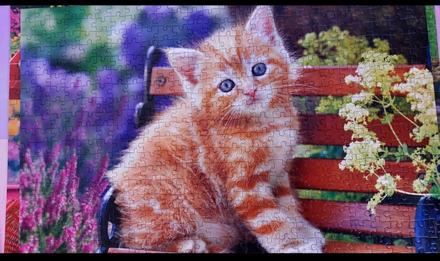 Puzzle,