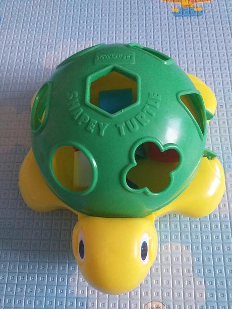 Korytnačka vkladačka, 