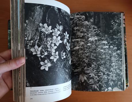Veľky obrazový atlas rastlín (1980), 