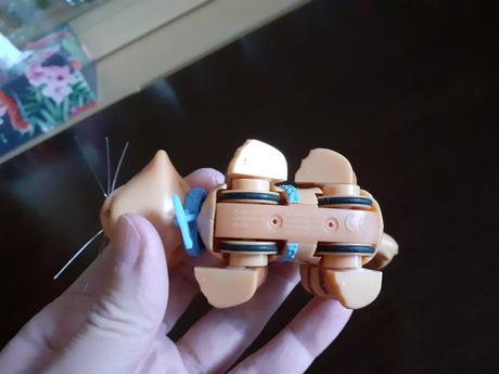 Mačiatko na kolieskach,