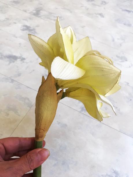 Umelý kvet klívia, 