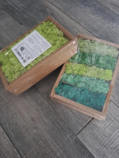 2x živý mach, 400gr,