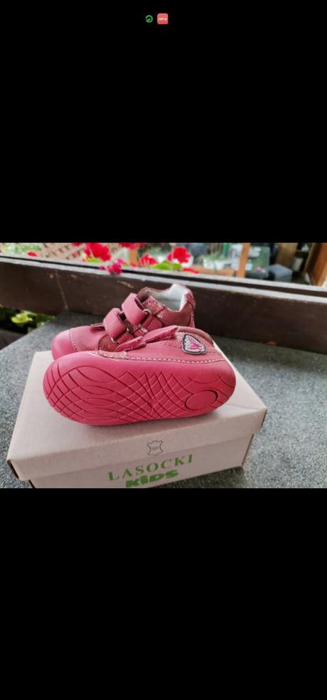 Poltopanky lasocki, lasocki,21