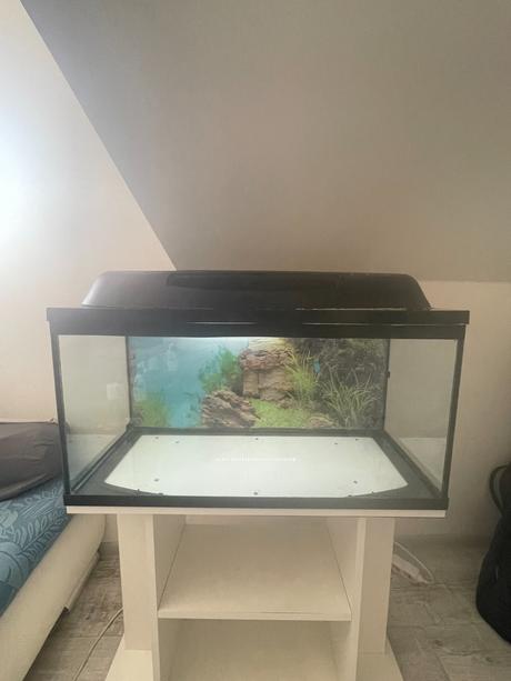 Akvarium - 100l,