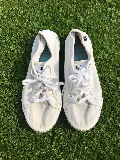 Pánske tenisky - calvin klein, 41