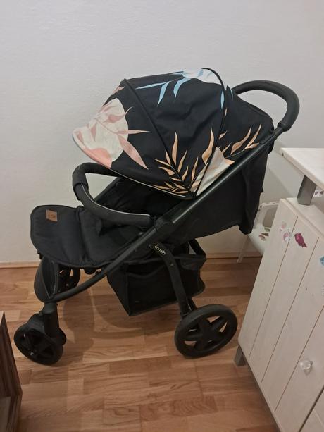 Športovy kočik, lionelo,lionelo annet plus