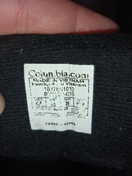 Snehule columbia, columbia