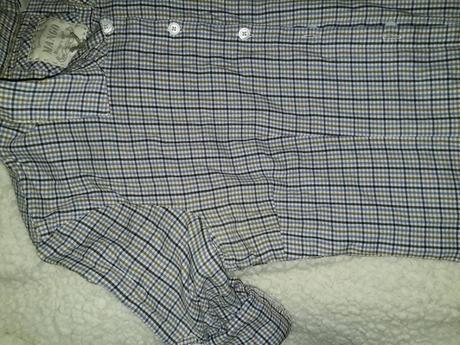 Kosela mango, mng, mango,m